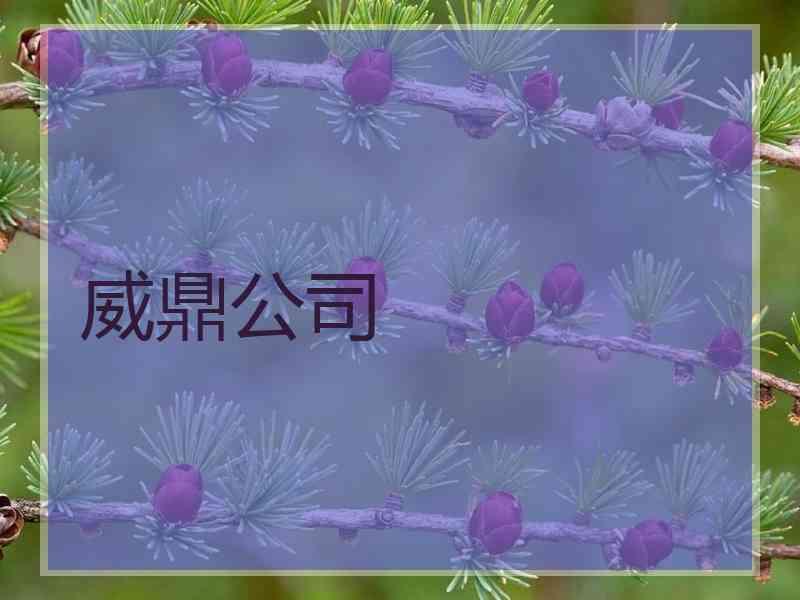 威鼎公司