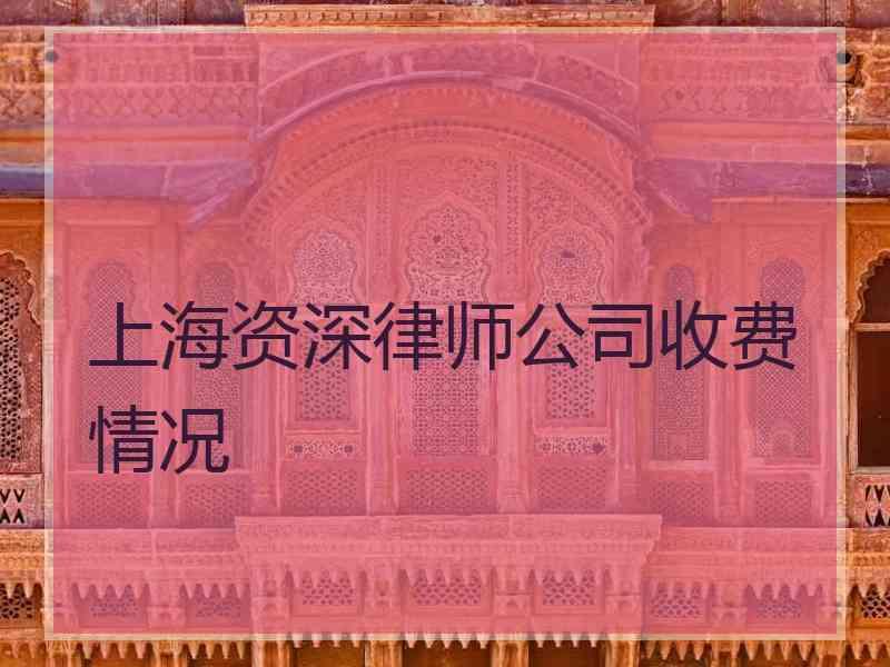 上海资深律师公司收费情况