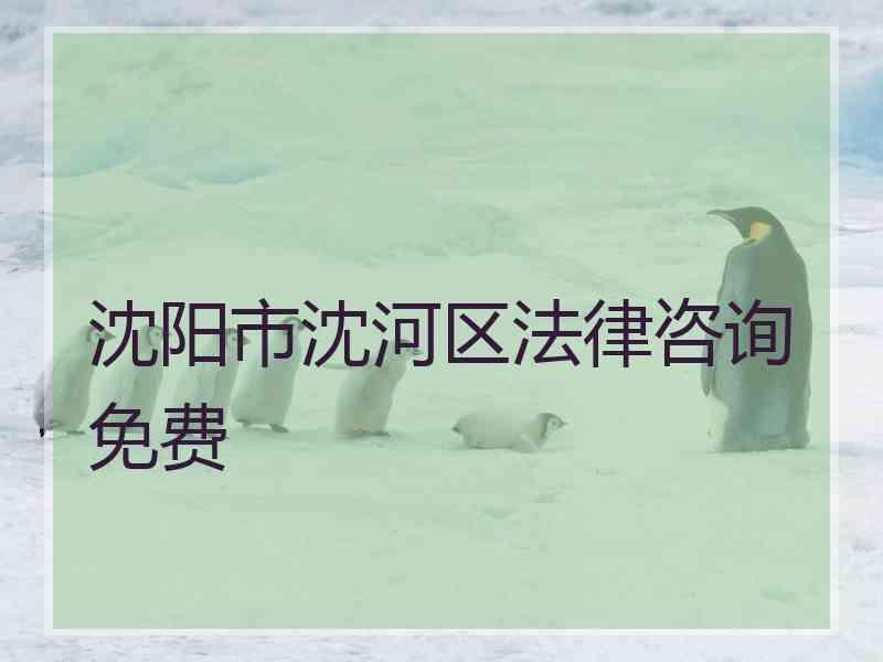 沈阳市沈河区法律咨询免费
