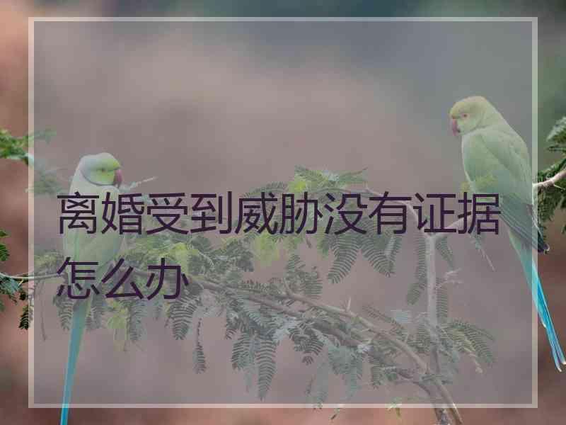 离婚受到威胁没有证据怎么办