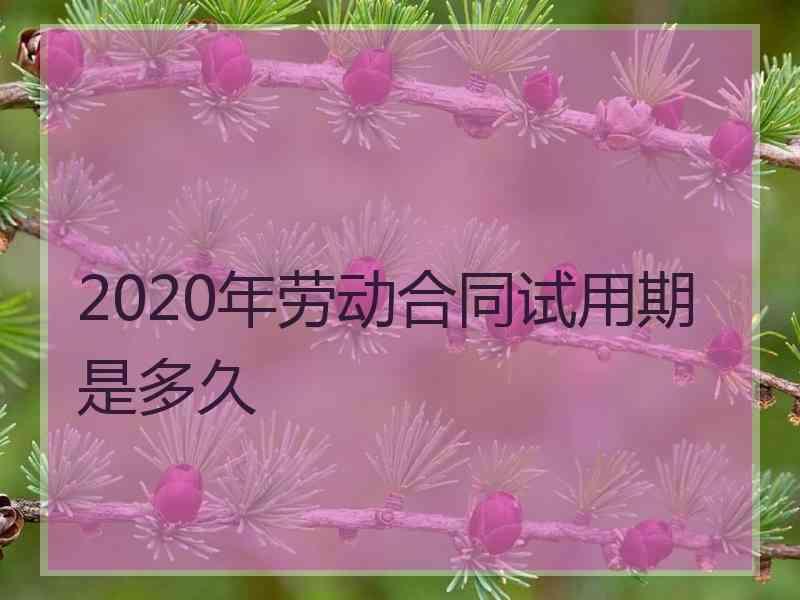 2020年劳动合同试用期是多久