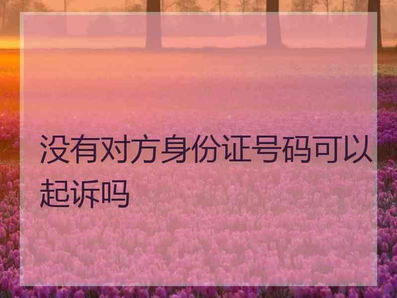 没有对方身份证号码可以起诉吗