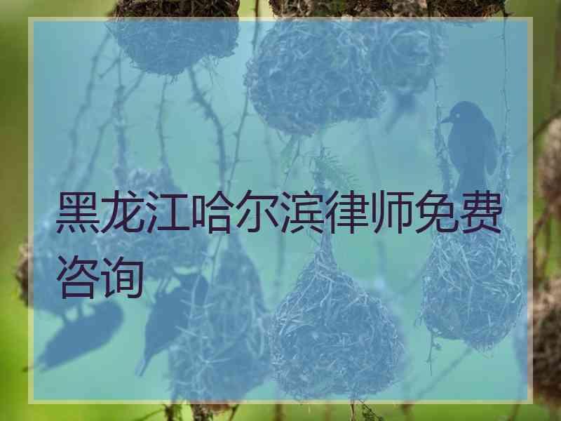 黑龙江哈尔滨律师免费咨询