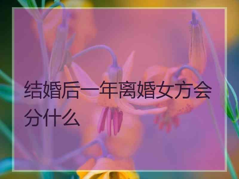 结婚后一年离婚女方会分什么