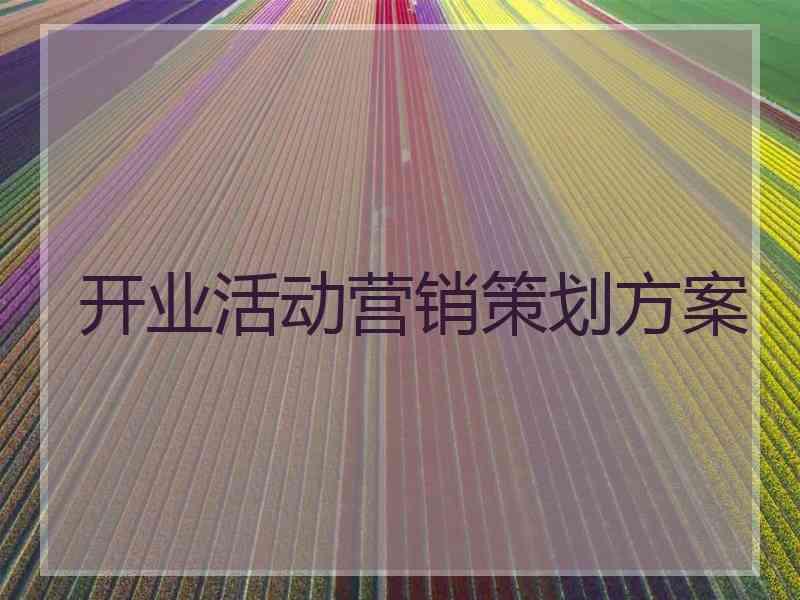 开业活动营销策划方案