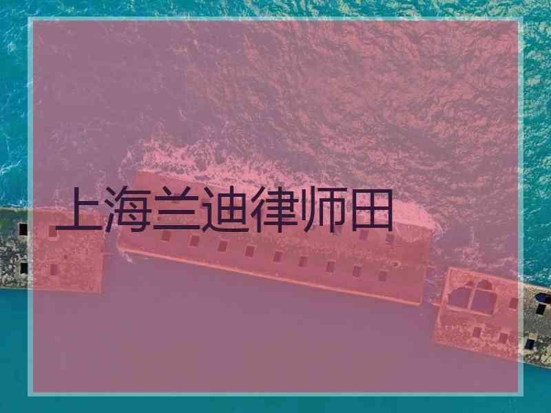 上海兰迪律师田