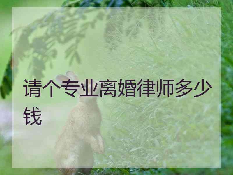 请个专业离婚律师多少钱