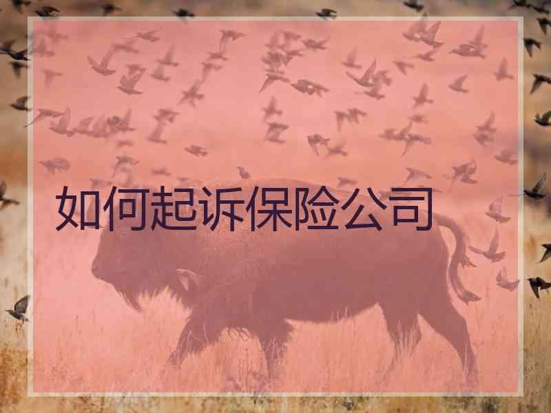 如何起诉保险公司