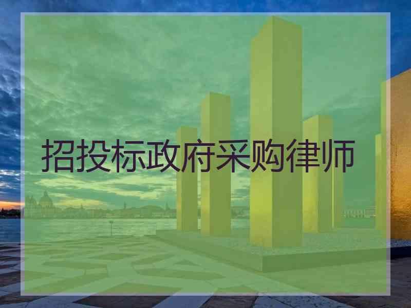 招投标政府采购律师