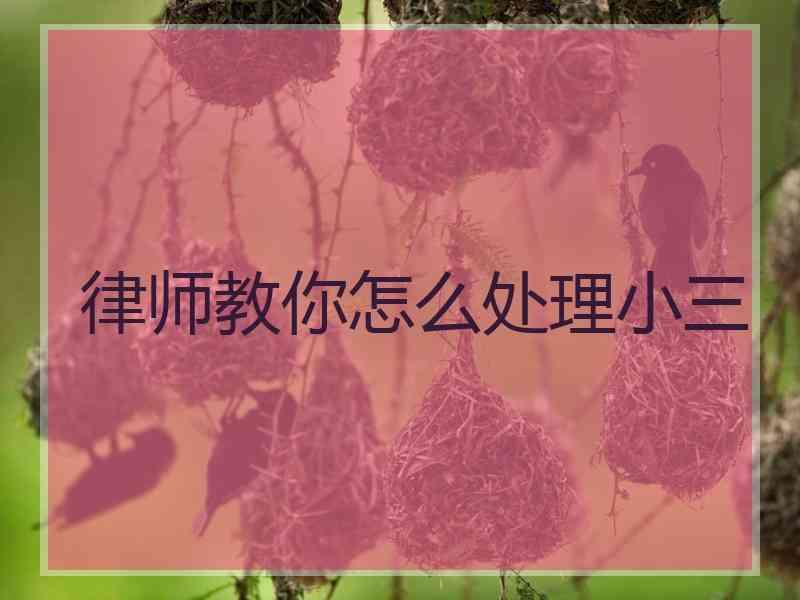 律师教你怎么处理小三