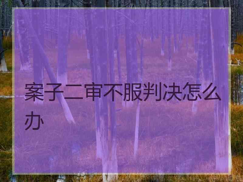 案子二审不服判决怎么办