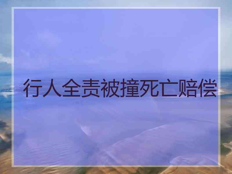 行人全责被撞死亡赔偿