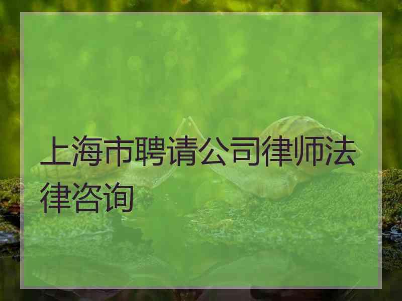 上海市聘请公司律师法律咨询