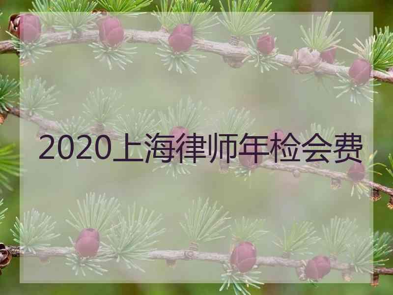 2020上海律师年检会费