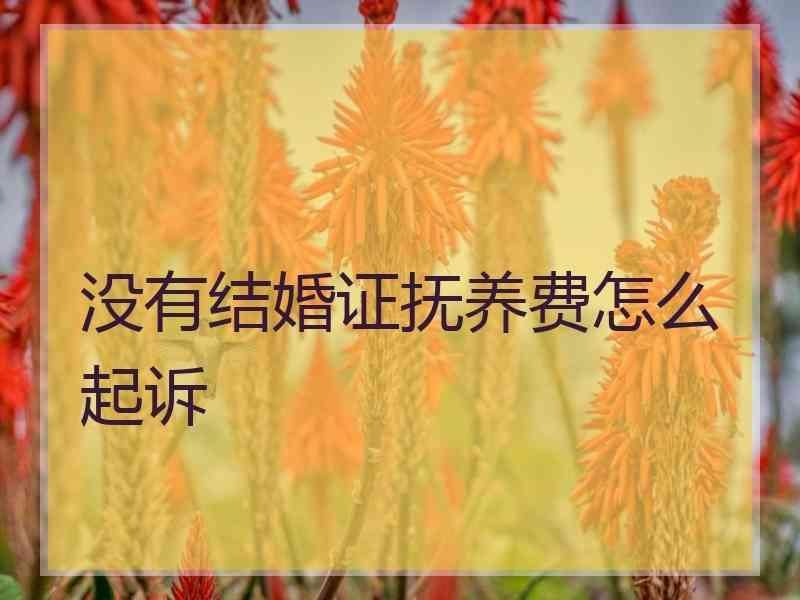 没有结婚证抚养费怎么起诉