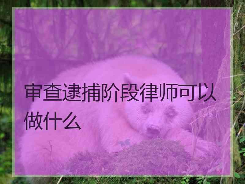 审查逮捕阶段律师可以做什么