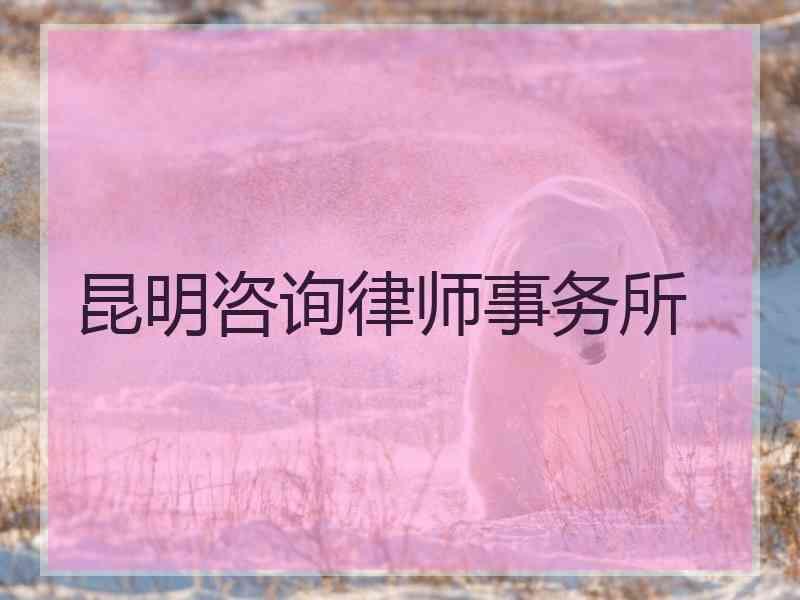 昆明咨询律师事务所