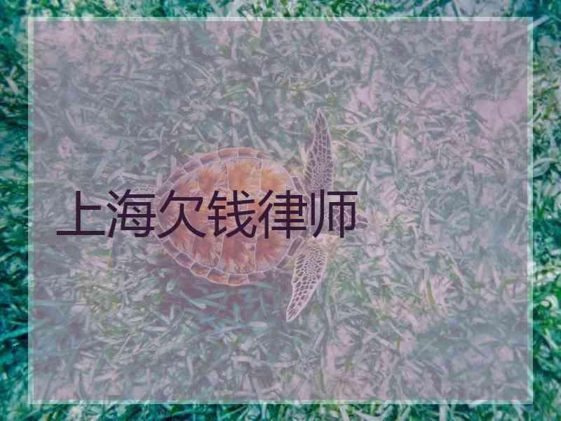 上海欠钱律师