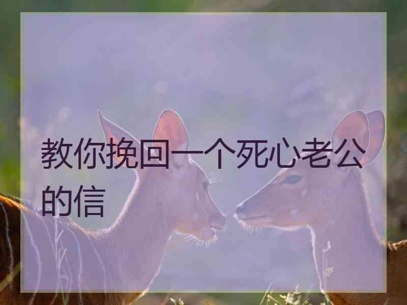 教你挽回一个死心老公的信