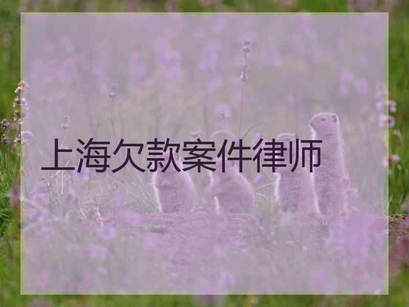 上海欠款案件律师