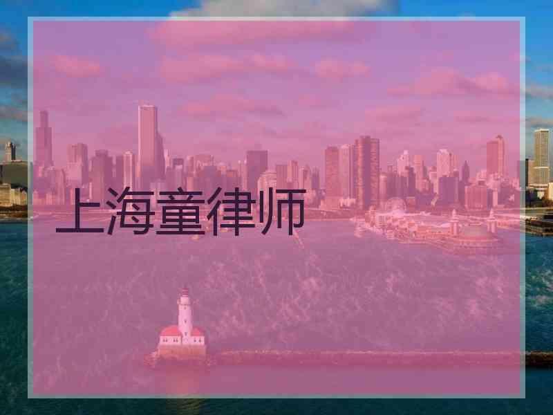 上海童律师