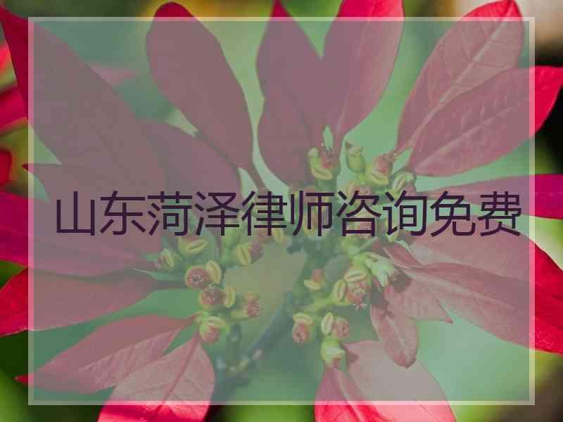 山东菏泽律师咨询免费