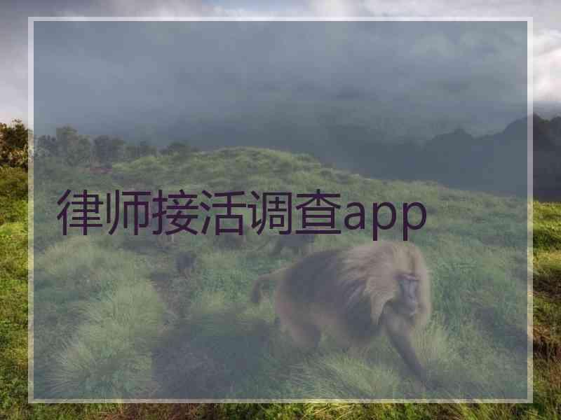 律师接活调查app