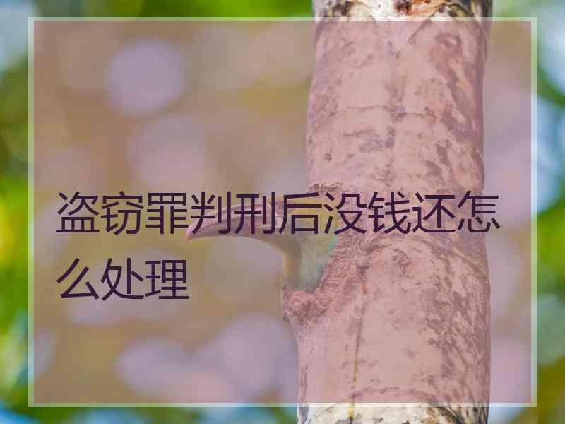 盗窃罪判刑后没钱还怎么处理