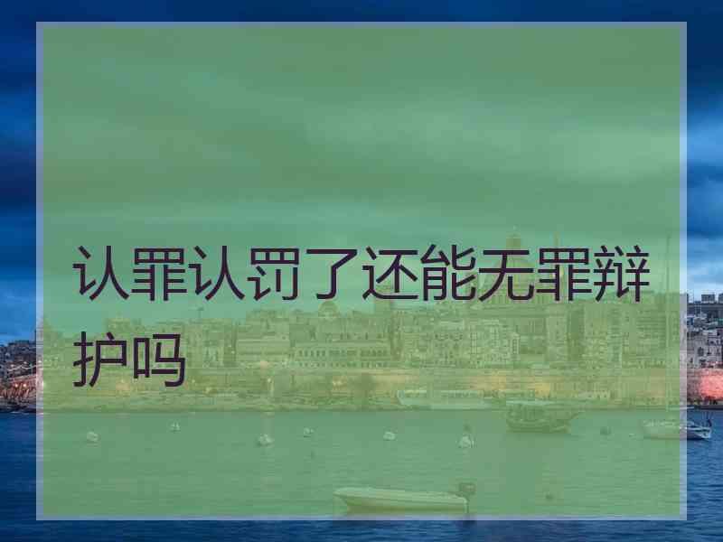 认罪认罚了还能无罪辩护吗