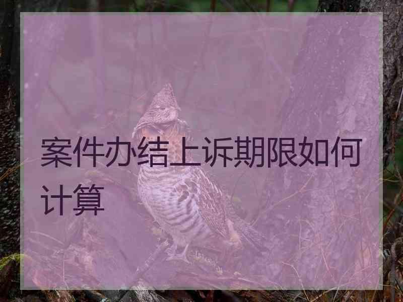 案件办结上诉期限如何计算