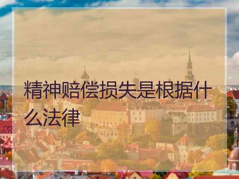 精神赔偿损失是根据什么法律