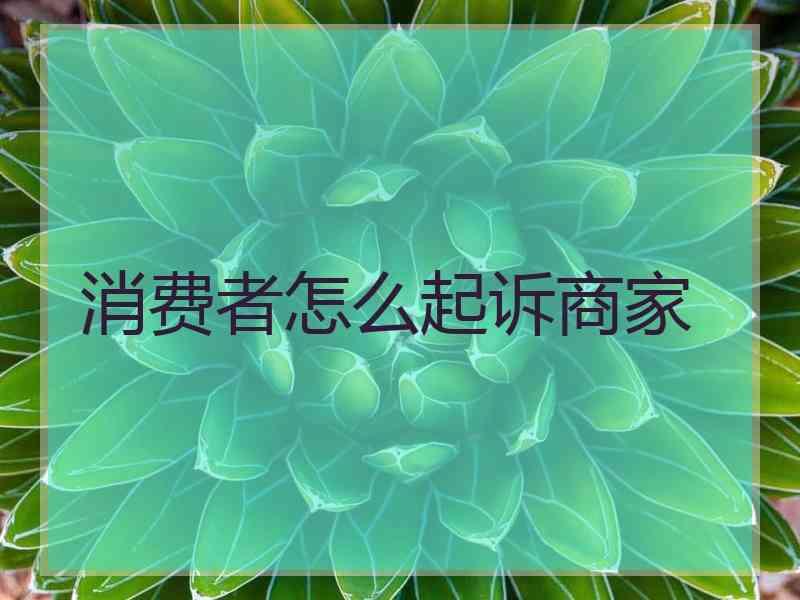 消费者怎么起诉商家