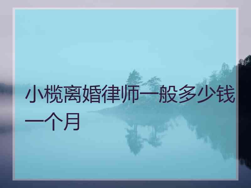 小榄离婚律师一般多少钱一个月