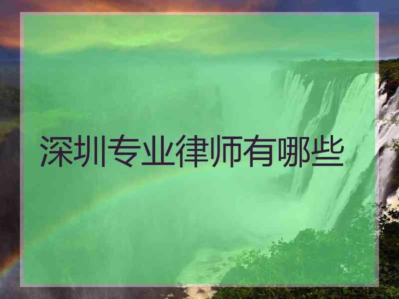 深圳专业律师有哪些