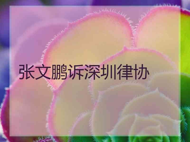 张文鹏诉深圳律协