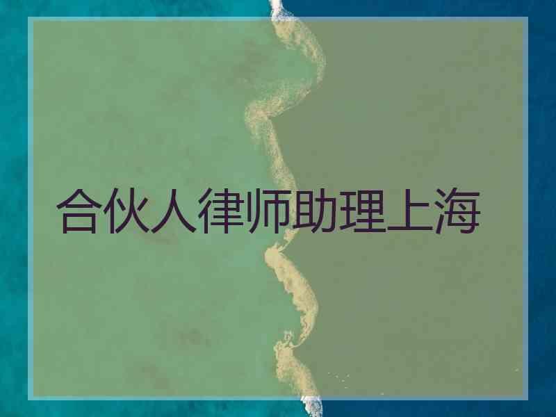 合伙人律师助理上海