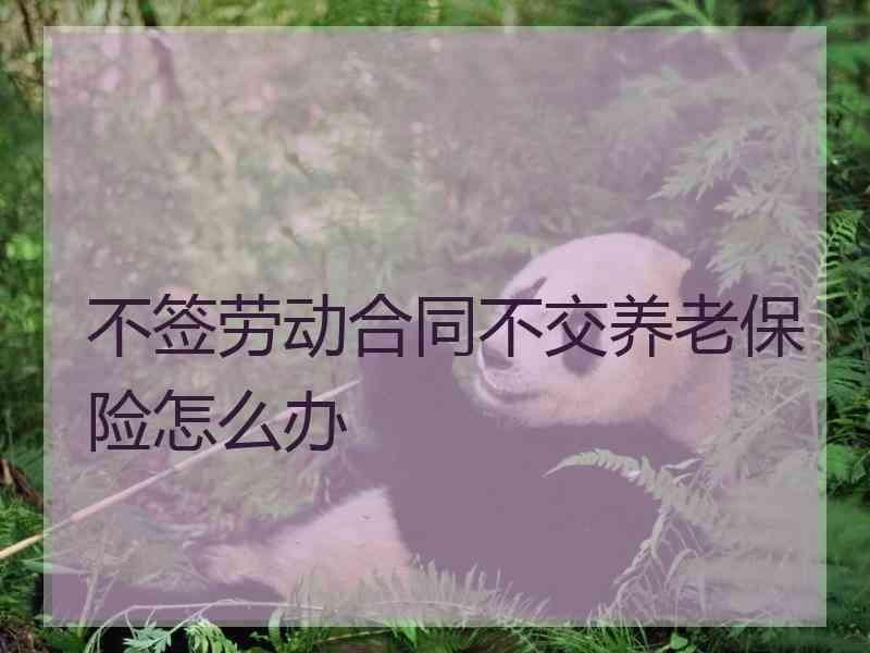 不签劳动合同不交养老保险怎么办