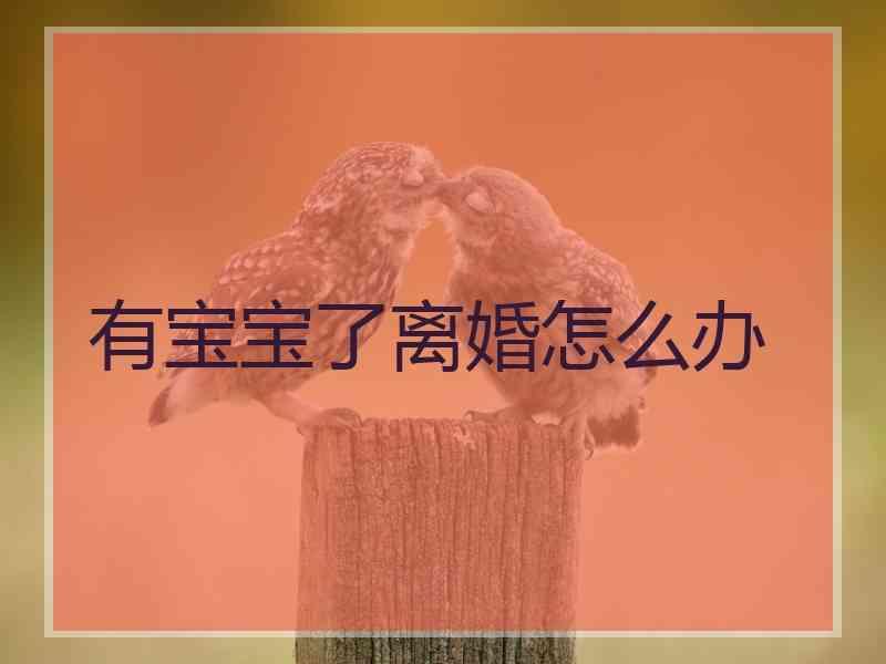 有宝宝了离婚怎么办