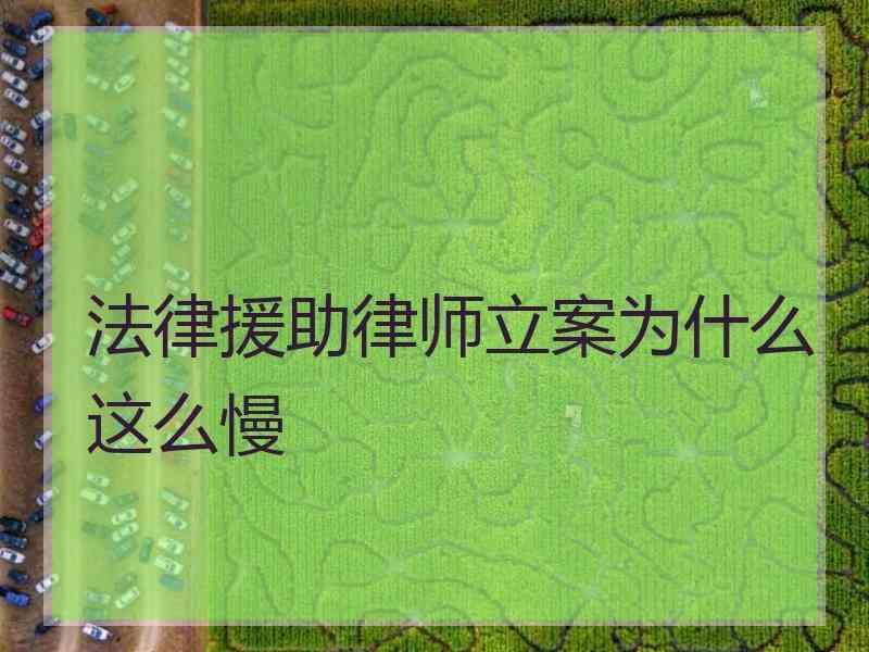 法律援助律师立案为什么这么慢