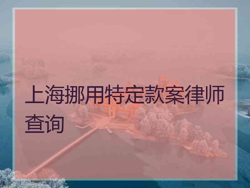 上海挪用特定款案律师查询