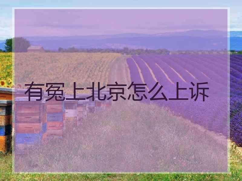 有冤上北京怎么上诉