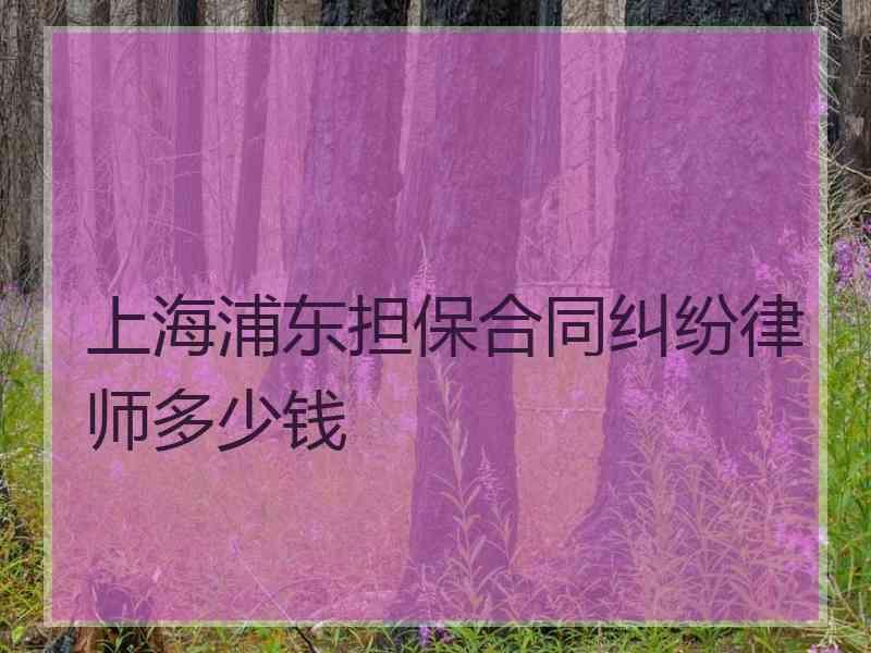 上海浦东担保合同纠纷律师多少钱