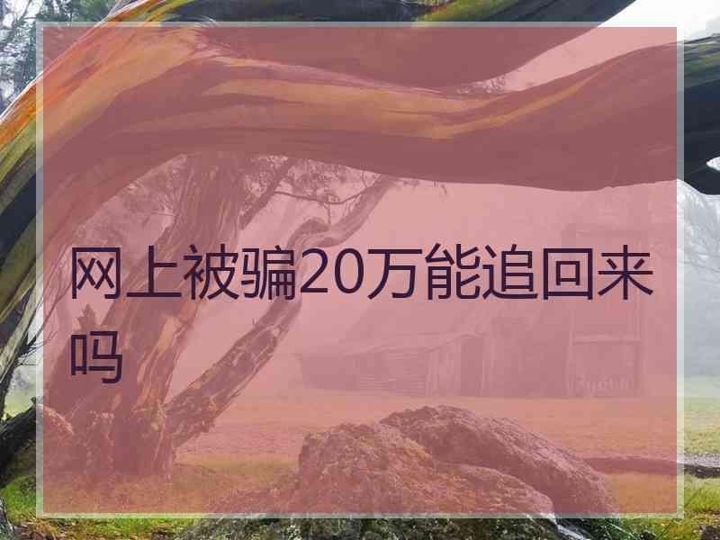 网上被骗20万能追回来吗