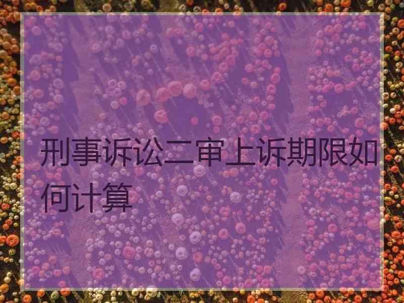 刑事诉讼二审上诉期限如何计算