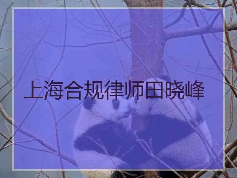 上海合规律师田晓峰