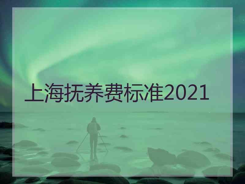 上海抚养费标准2021