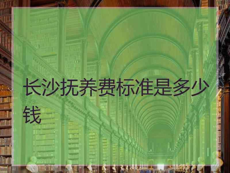 长沙抚养费标准是多少钱