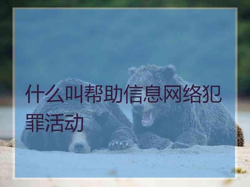 什么叫帮助信息网络犯罪活动