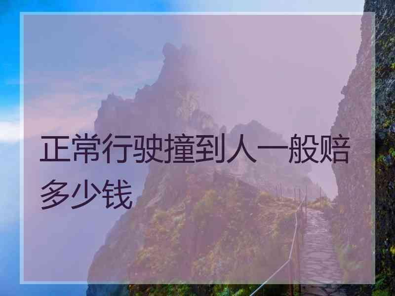 正常行驶撞到人一般赔多少钱