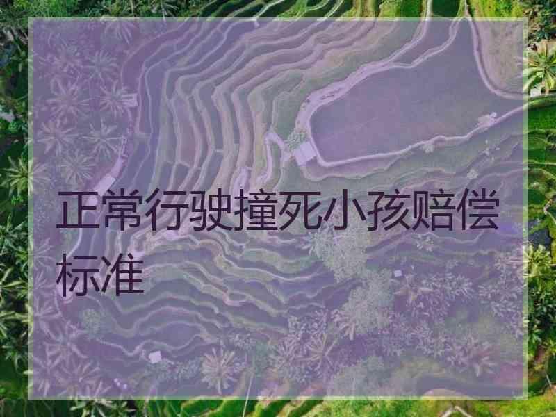 正常行驶撞死小孩赔偿标准